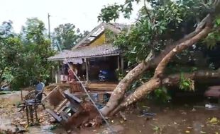 Diterjang Angin Puting Beliung, 121 Rumah Warga di Jepara Rusak