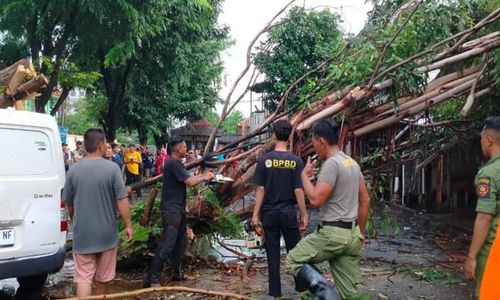 Akibat Hujan Deras Disertai Angin, Sebanyak 32 Pohon Tumbang di Solo