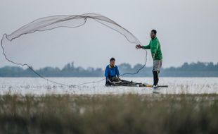 Jateng Level Sedang Penangkapan Ikan dengan Setrum & Potas, Ini Kata HNSI