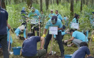 Rayakan HUT ke-18, Finnet Lakukan Program Penanaman Pohon di Cikole