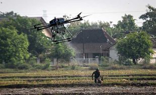 Petani Muda Didorong Terapkan Smart Farming