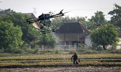 Petani Muda Didorong Terapkan Smart Farming