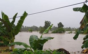 Innalillahi… 14 Warga Meninggal akibat Banjir Tiga Meter di Luwu Sulsel