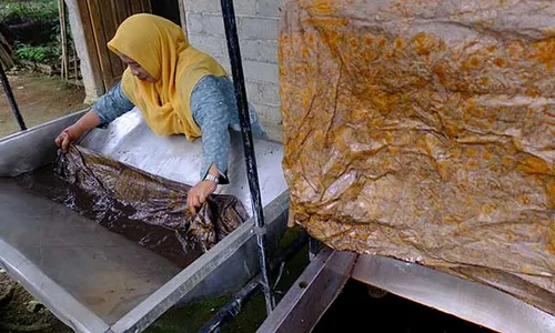 Perajin Batik di Wonosobo Manfaatkan Limbah Kopi dan Teh Jadi Pewarna Alami