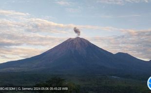 Gunung Semeru Erupsi Lagi, Tinggi Kolom Letusan 600 Meter