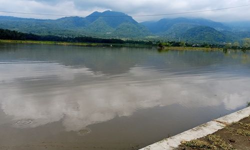 Banjir saat Kemarau, Puluhan Hektar Sawah di Kabupaten Semarang Terendam