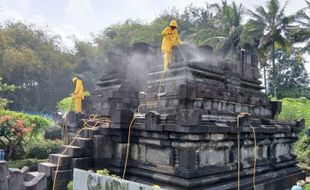 Ditumbuhi Mikroorganisme, Candi Asu Magelang Dikonservasi