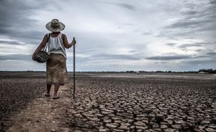 Kapan Musim Kemarau Tiba di Pulau Jawa hingga Papua? Catat Tanggalnya