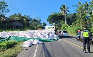 Truk Muatan Pupuk Terguling di Tanjakan Keboan Ampel Boyolali