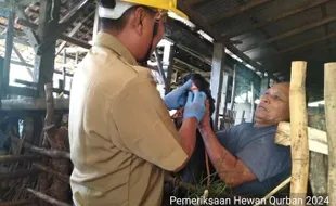 Wonogiri Jadi Penyuplai Hewan Kurban ke Jabodetabek, Pemeriksaan Diperketat