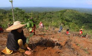 Telkom Dukung Pemulihan 82,1 Hektare Lahan Kritis melalui Reboisasi