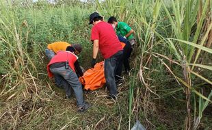 Pergi ke Sawah Tak Pulang-pulang, Pria Sragen Ditemukan Meninggal di Kebun Tebu