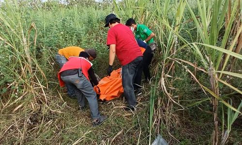 Pergi ke Sawah Tak Pulang-pulang, Pria Sragen Ditemukan Meninggal di Kebun Tebu