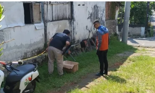 Panik Rumah Kemasukan Ular, Warga Salatiga Minta Bantuan Ojol