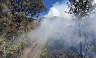 Sejak Selasa Malam, Kawasan Sabana Widodaren Gunung Bromo Terbakar