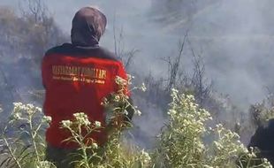 Kebakaran Hutan & Lahan di Gunung Bromo Akhirnya Berhasil Dipadamkan