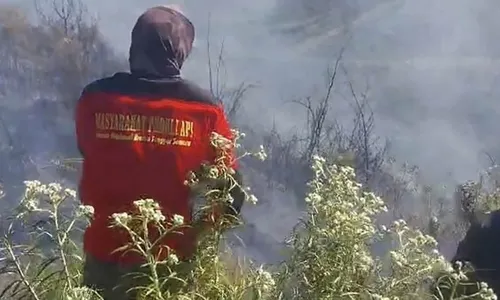 Kebakaran Hutan & Lahan di Gunung Bromo Akhirnya Berhasil Dipadamkan