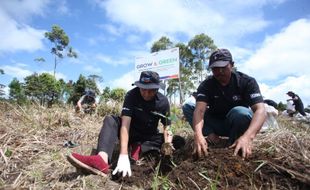 Peduli Lingkungan Hidup, Program BRI Menanam-Grow & Green Pulihkan Ekosistem