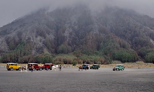 Penampakan Luas Lahan Terdampak Kebakaran Gunung Batok di Kawasan Bromo