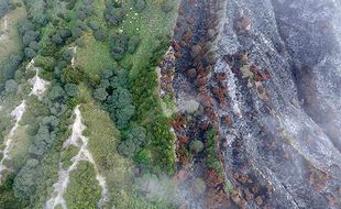 Wisatawan yang Berkunjung ke Bromo Diminta Waspada Kebakaran Hutan saat Kemarau