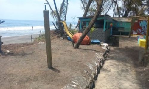 Gegara Abrasi, Tempat Konservasi Penyu di Pantai Trisik Perlu Segera Direlokasi