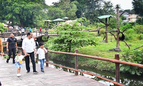 Akhir Pekan, Jokowi Ajak Jan Ethes dan La Lembah Manah Kunjungi Solo Safari