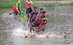 Keseruan Tradisi Lomba Tangkap Bebek Perayaan Peh Cun di Tangerang