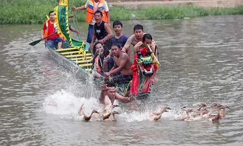 Keseruan Tradisi Lomba Tangkap Bebek Perayaan Peh Cun di Tangerang