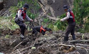 Anjing Pelacak Dikerahkan Bantu Cari Korban Tertimbun Longsor di Lumajang