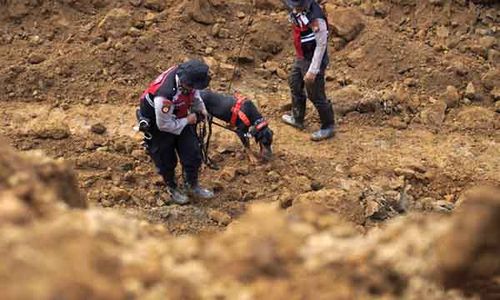 10 Hari Berlalu, Korban Terakhir Longsor di Lumajang Akhirnya Ditemukan