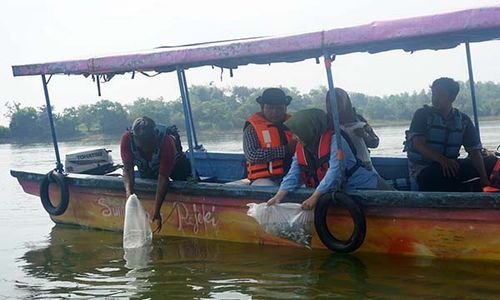 Jaga Ekosistem, 100.000 Benih Ikan Tawes dan Patin Ditebar di WGM Wonogiri