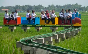 Serunya Naik Kereta Sawah Lokamerta di Wisata Desa Tirtomarto Cawas Klaten