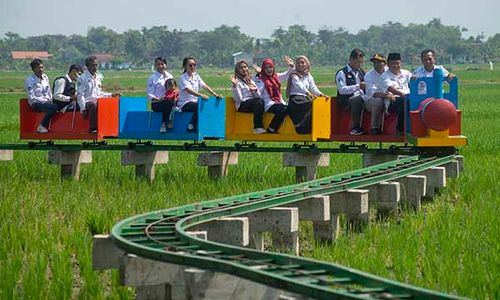 Serunya Naik Kereta Sawah Lokamerta di Wisata Desa Tirtomarto Cawas Klaten