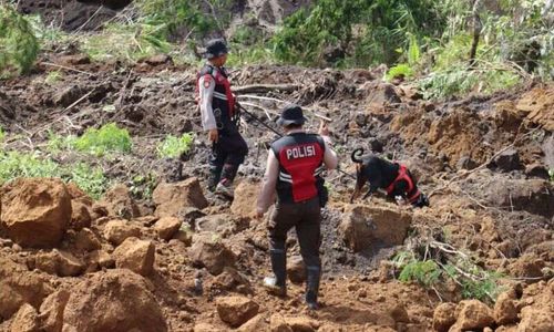 Polisi Terjunkan Unit K9 Cari Korban Longsor Tambang Pasir Lumajang