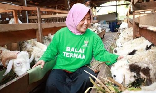 Punya 25 KK Binaan, Program Balai Ternak Baznas Diluncurkan di Gunungkidul