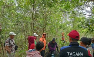 Butuh Waktu 7 Jam Evakuasi Pendaki yang Alami Hipotermia di Gunung Lemongan