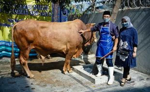 Peternak Kambing di Malang Sukses Kembangkan Usaha Berkat Pemberdayaan BRI