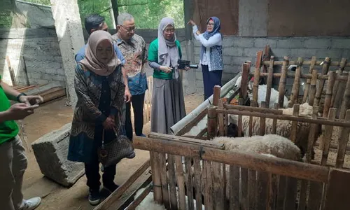 Tingkatkan Taraf Hidup, Peternak dari Selo Boyolali Dapat Bantuan Puluhan Domba