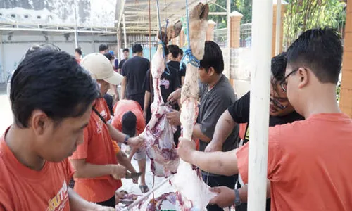 ITS PKU Muhammadiyah Surakarta Bagikan 750 Bungkus Daging Hewan Kurban