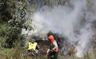 Kebakaran Hutan Kembali Terjadi di Kawasan Bromo, Kali Ini di Gunung Batok