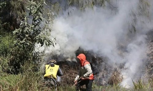 Kebakaran Hutan Kembali Terjadi di Kawasan Bromo, Kali Ini di Gunung Batok