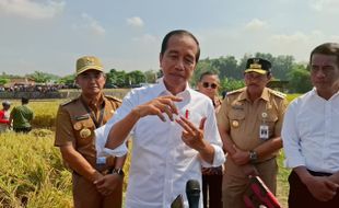 Jokowi Jawab Desakan Menkominfo mundur