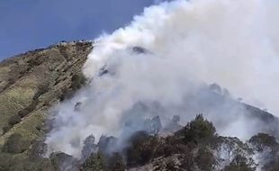 Duh! Angin Kencang Ganggu Pemadaman Api Gunung Batok di Kawasan Bromo