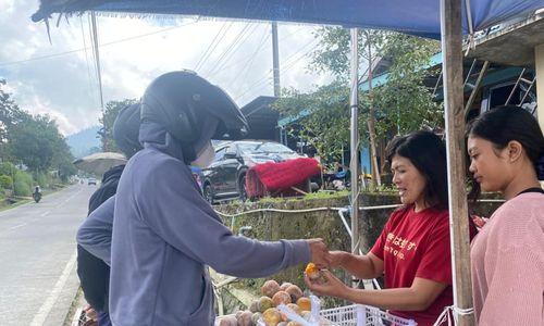 Lagi Musim, Pinggir Jalan SSB di Selo Boyolali Dipenuhi Penjual Kesemek