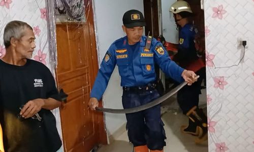 Ngeri, Kobra 1 Meter Sembunyi di Kamar Rumah Warga Tanon Sragen