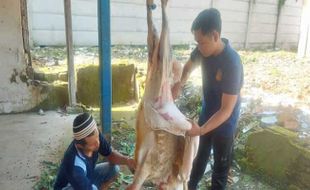 Ikut Rayakan Hari Raya Kurban, Warga Rutan Salatiga Potong 7 Ekor Kambing