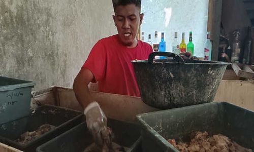 Gita Pertiwi Manfaatkan Maggot dan Ulat Jerman untuk Kelola 3 Ton Sampah