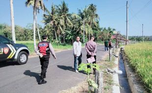 Belasan Pembatas Jalan & Tanaman Petani di Kulonprogo Dirusak Orang Misterius