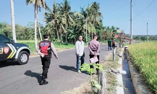 Belasan Pembatas Jalan & Tanaman Petani di Kulonprogo Dirusak Orang Misterius