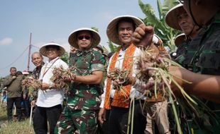 Pupuk Indonesia Siap Dukung Produktivitas Bawang Merah di Urban Farming Bekasi